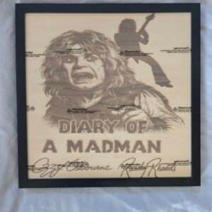 Rock legend reborn — Diary of a Madman captured in timeless detail 🔥🎸